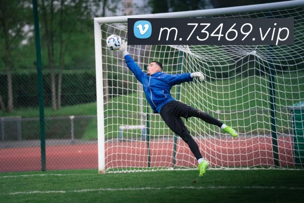 平台展示图